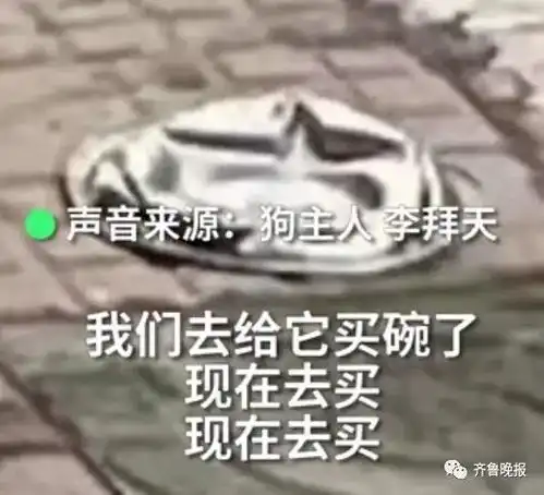 铁饭碗被车压扁,狗狗委屈10万网友在线喊赔碗
