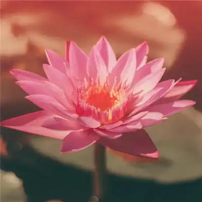 测试一个超长简介的文章