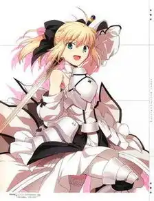 完美骑士王莉莉最强主角