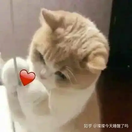 怎样评价大鱼bigfish这部电影