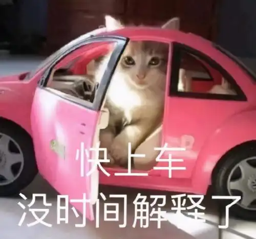 真香,那些让人越相处越上头的星座