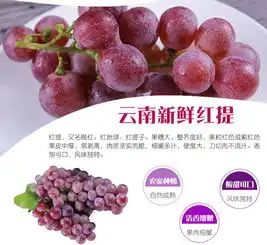 提子云南红提孕妇葡萄新鲜水果红提当季现摘现发5斤