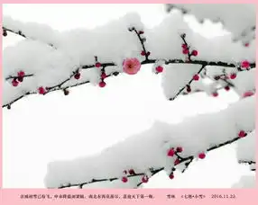 雪林二十四节气诗2016年