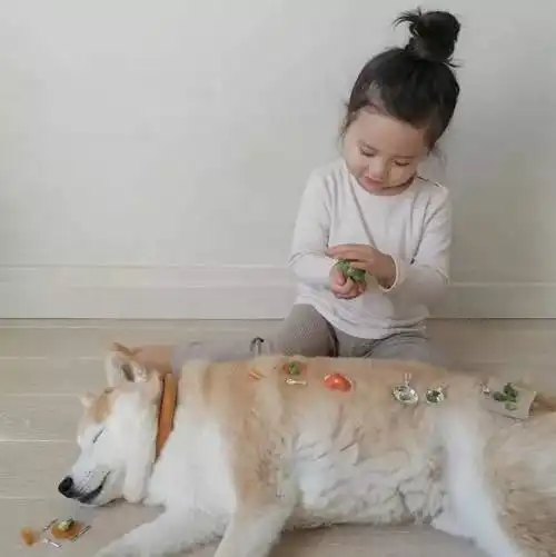 萌娃萌宠萌翻天