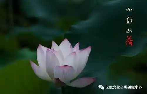 汉式心理王阳明心学教你如何把心静下来