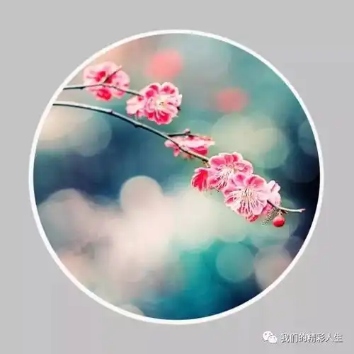 2019,一切看淡,一切随缘