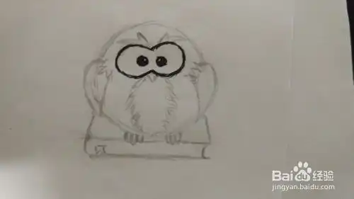 如何简笔画站在书上的猫头鹰