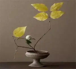 欣赏丨茶席中令人惊艳的插花艺术