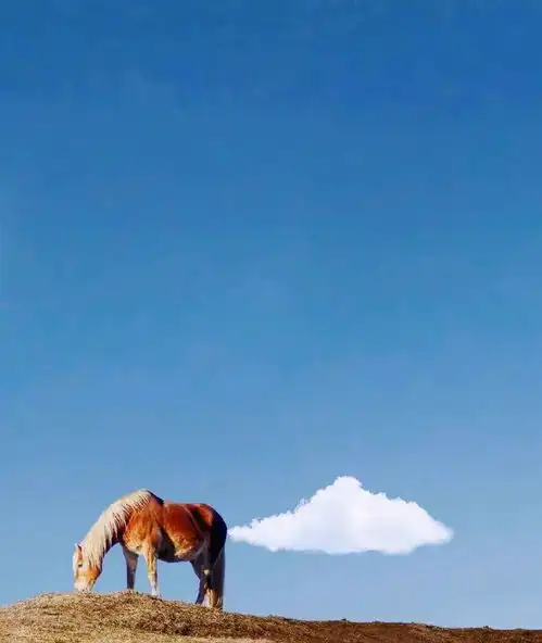 每日七言丨一辈子很短,要么有趣,要么老去