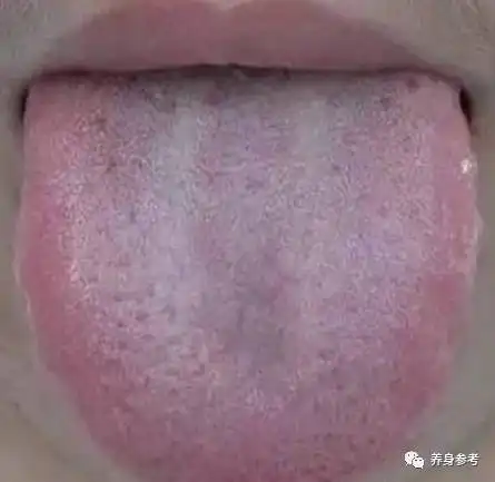 测试一个超长简介的文章