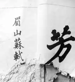 测试一个超长简介的文章