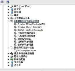 电脑没有声音,喇叭全部都开了,帮我看一下声卡是否有问题图片还有驱动精灵是什么要不要下载的