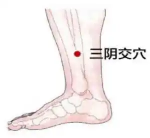 珠海中医针灸推拿培训公益课第8讲降压降糖推拿疗法