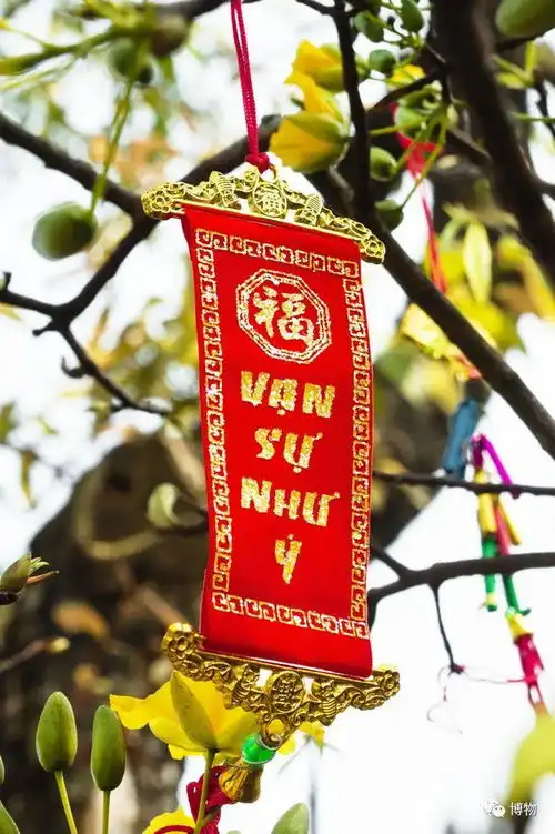 为啥这些字仿佛认识,但其实不认识