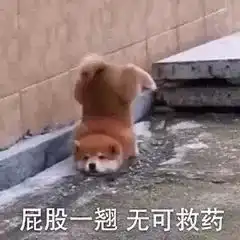 39岁的高圆圆怀孕上热搜我只关心她20岁的脸蛋是如何保持的
