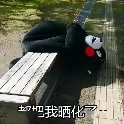 测试一个超长简介的文章
