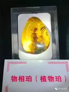 腾冲市发布缅甸琥珀地方标准小伙伴们再也不用担心买到假货了