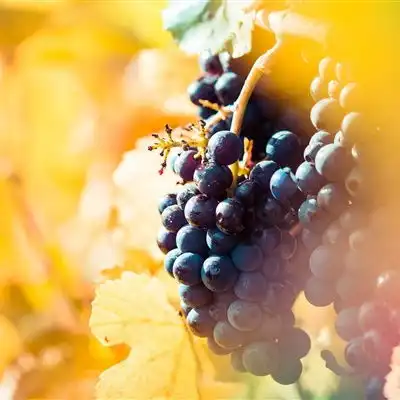 唯美微信头像,超清绝美自然风景美醉了