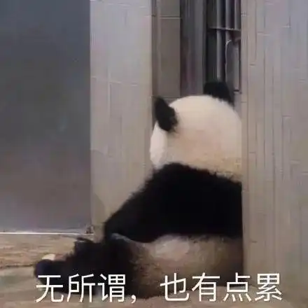 24考研调剂政策五大变化