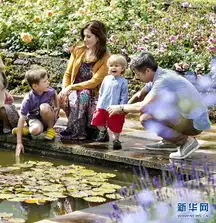 世界追捧英国小王子英媒质疑其未来能否继位