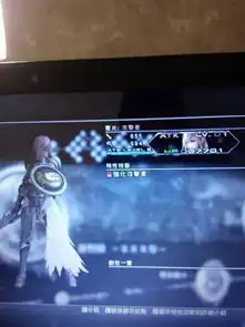 那个大神告诉,如图的宠物,怎么样才可以破解后,让a雷光一下打出30万伤害,最终幻想132如何培养