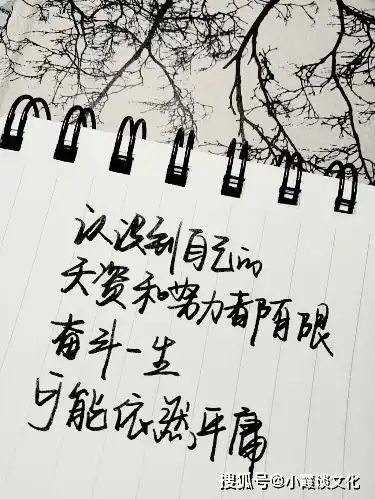 低调成熟的个性签名,精妙无比,令人拍案叫绝