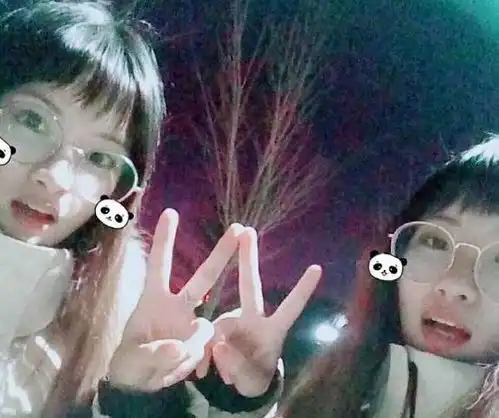 双胞胎姐妹考研被同一学校同一专业录取,网友不孤单的考研