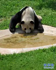 图片故事我在云南的最后一个生日