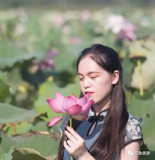 二乔暨荷花仙子20强走进嘉鱼各地采风