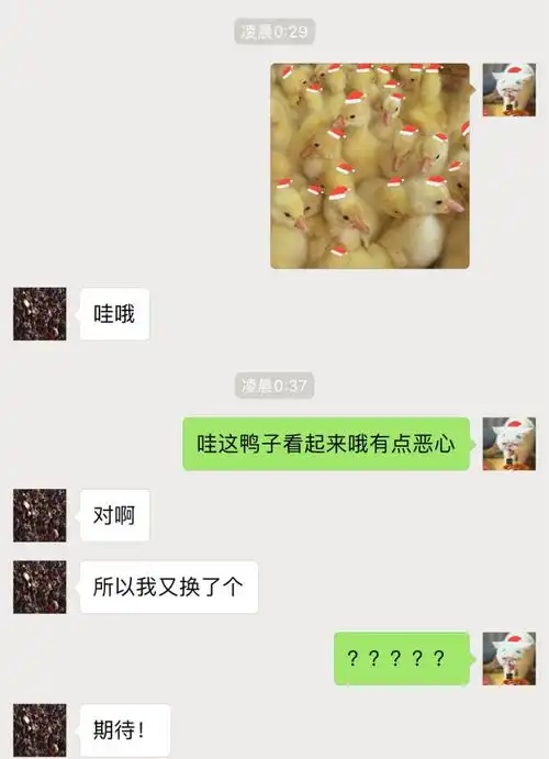 听说这么做,就能把好友头像的圣诞帽变成绿色