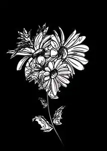 花卉剪影素材图片设计高清其他模板下载3.34mbqq23f2c059分享自然素材大全