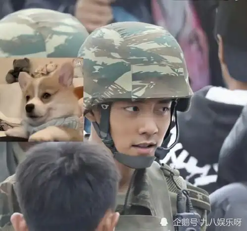 工作室尽显肖战人品,番位之争不复存在