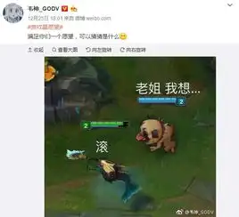 韦神直播lol用锐雯杀爆全场曾霸气表示你们要瑞文皮肤还是皎月