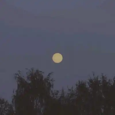 林知晚可爱唯美小清新自然背景风景静物头像我要个性网