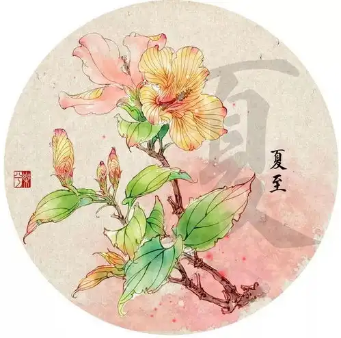 夏至在最长的白昼,遇见天长地久