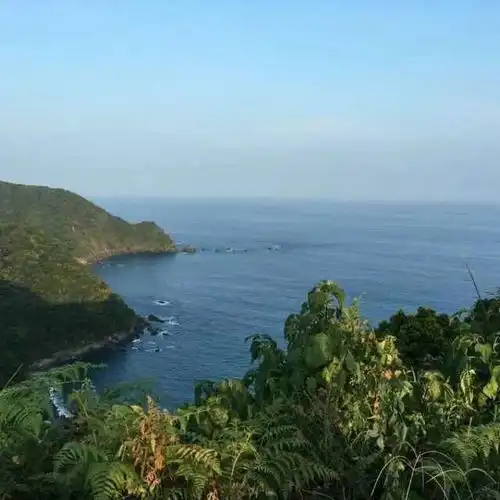 道理我都懂,可是为什么高中生头像里的女生这么好看