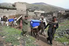 阿富汗选民用毛驴运送选票箱