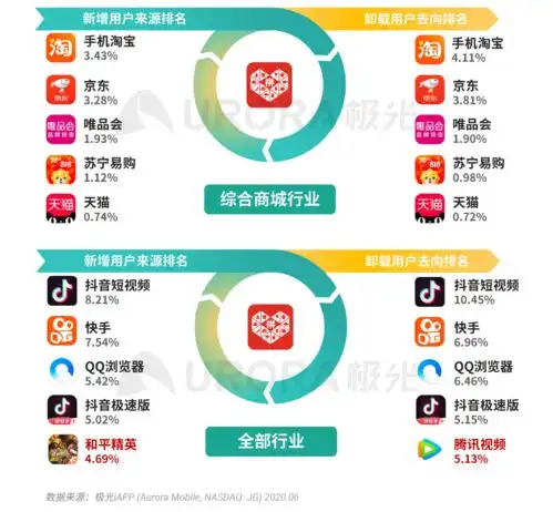数据报告电商新贵,裂变先锋