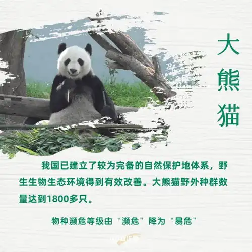 保护生物多样性一图盘点那些被降级的野生动物