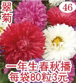 彩宇园艺商城安徽六安绿宇果树花卉研究中心果树苗花木苗观光园艺用大树苗木种苗花卉种子