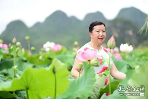 荷花盛开普者黑