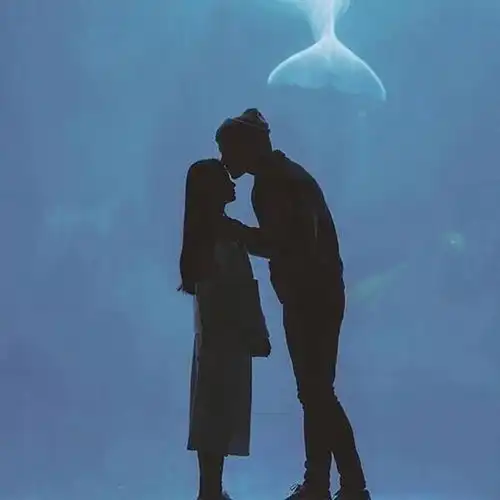 测试一个超长简介的文章