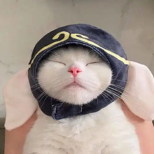 圣诞节头像