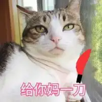 2018热门头像微信头像图片大全