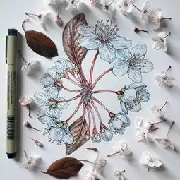 针管笔为你整理的针管笔植物手绘,刚快来瞧一瞧