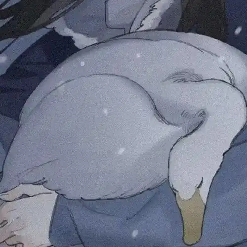 情头太懂事是一种什么体验