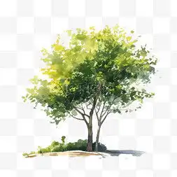 绘画大树图片绘画大树图片素材免费下载千库网