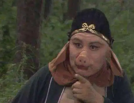 喜迎新春猪年需要注意的事