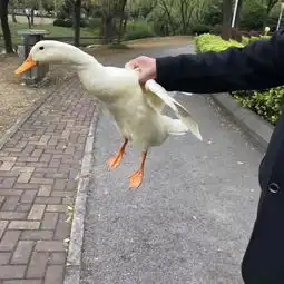 siva笑点检测站当代大学生快乐速成手册