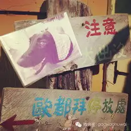 台湾环岛12天,我的手机图片集,给你温煦淳朴